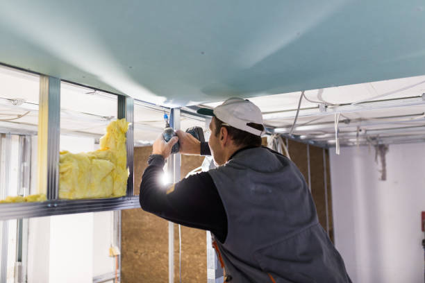 Best Insulation Contractors for Homes  in Brooks, KY